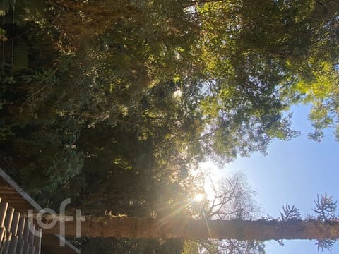 Image 8 - 265811